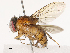  ( - CBG-B14787-C09)  @11 [ ] CreativeCommons - Attribution Share - Alike (2025) CBG Photography Group Centre for Biodiversity Genomics