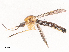  ( - CBG-B14787-H10)  @11 [ ] CreativeCommons - Attribution Share - Alike (2025) CBG Photography Group Centre for Biodiversity Genomics
