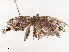  ( - CBG-B21802-F04)  @11 [ ] CreativeCommons - Attribution Share - Alike (2025) CBG Photography Group Centre for Biodiversity Genomics