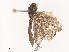 ( - CBG-B21802-F09)  @11 [ ] CreativeCommons - Attribution Share - Alike (2025) CBG Photography Group Centre for Biodiversity Genomics