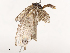  ( - CBG-B21802-F11)  @11 [ ] CreativeCommons - Attribution Share - Alike (2025) CBG Photography Group Centre for Biodiversity Genomics