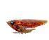  (Dryadomorpha sp. B - JPT30C)  @14 [ ] Unspecified (default): All Rights Reserved  Unspecified Unspecified