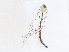  ( - CBG-A04503-F01)  @11 [ ] CreativeCommons - Attribution (2023) CBG Photography Group Centre for Biodiversity Genomics