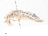  ( - CBG-A04505-F10)  @11 [ ] CreativeCommons - Attribution Share - Alike (2023) CBG Photography Group Centre for Biodiversity Genomics