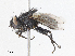  ( - CBG-A06222-B02)  @11 [ ] CreativeCommons - Attribution (2023) CBG Photography Group Centre for Biodiversity Genomics