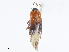  ( - CBG-A06226-E04)  @11 [ ] CreativeCommons - Attribution Share-Alike (2023) CBG Photography Group Centre for Biodiversity Genomics
