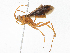  ( - CBG-A06231-B11)  @11 [ ] CreativeCommons - Attribution Share-Alike (2023) CBG Photography Group Centre for Biodiversity Genomics