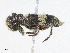  ( - CBG-A06231-F02)  @11 [ ] CreativeCommons - Attribution Share-Alike (2023) CBG Photography Group Centre for Biodiversity Genomics