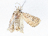  ( - CBG-A06231-G09)  @11 [ ] CreativeCommons - Attribution Share-Alike (2023) CBG Photography Group Centre for Biodiversity Genomics