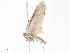  ( - CBG-A06232-D10)  @11 [ ] CreativeCommons - Attribution Share-Alike (2023) CBG Photography Group Centre for Biodiversity Genomics
