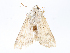  ( - CBG-A10763-H07)  @11 [ ] CreativeCommons - Attribution Share - Alike (2023) CBG Photography Group Centre for Biodiversity Genomics