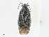  ( - CBG-A10785-E07)  @11 [ ] CreativeCommons - Attribution Share - Alike (2023) CBG Photography Group Centre for Biodiversity Genomics