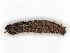  ( - CBG-A10786-H02)  @11 [ ] CreativeCommons - Attribution Share - Alike (2023) CBG Photography Group Centre for Biodiversity Genomics