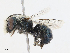  ( - CBG-A10787-D01)  @11 [ ] CreativeCommons - Attribution Share - Alike (2023) CBG Photography Group Centre for Biodiversity Genomics