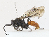  ( - CBG-A10788-B02)  @11 [ ] CreativeCommons - Attribution Share - Alike (2023) CBG Photography Group Centre for Biodiversity Genomics
