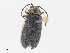  ( - CBG-A10788-C12)  @11 [ ] CreativeCommons - Attribution Share - Alike (2023) CBG Photography Group Centre for Biodiversity Genomics