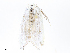  ( - CBG-A13269-B07)  @11 [ ] CreativeCommons - Attribution Share - Alike (2023) CBG Photography Group Centre for Biodiversity Genomics