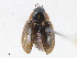  ( - CBG-A13294-F08)  @11 [ ] CreativeCommons - Attribution Share - Alike (2023) CBG Photography Group Centre for Biodiversity Genomics