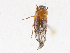  ( - CBG-A13295-F06)  @11 [ ] CreativeCommons - Attribution Share - Alike (2023) CBG Photography Group Centre for Biodiversity Genomics