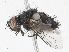  ( - CBG-A13337-A10)  @11 [ ] CreativeCommons - Attribution Share - Alike (2023) CBG Photography Group Centre for Biodiversity Genomics