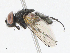  ( - CBG-A13337-D07)  @11 [ ] CreativeCommons - Attribution Share - Alike (2023) CBG Photography Group Centre for Biodiversity Genomics