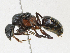  ( - CBG-A14960-F09)  @11 [ ] CreativeCommons - Attribution Share-Alike (2023) CBG Photography Group Centre for Biodiversity Genomics