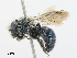  ( - CBG-A14989-C06)  @11 [ ] CreativeCommons - Attribution Share - Alike (2023) CBG Photography Group Centre for Biodiversity Genomics