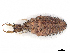  ( - CBG-A13271-H04)  @11 [ ] CreativeCommons - Attribution Share - Alike (2023) CBG Photography Group Centre for Biodiversity Genomics