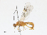  ( - CBG-A13272-G08)  @11 [ ] CreativeCommons - Attribution Share - Alike (2023) CBG Photography Group Centre for Biodiversity Genomics