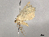  ( - CBG-A13296-H02)  @11 [ ] CreativeCommons - Attribution Share - Alike (2023) CBG Photography Group Centre for Biodiversity Genomics