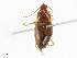  ( - CBG-A13326-A04)  @11 [ ] CreativeCommons - Attribution Share - Alike (2023) CBG Photography Group Centre for Biodiversity Genomics