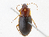  ( - CBG-A13326-B11)  @11 [ ] CreativeCommons - Attribution Share - Alike (2023) CBG Photography Group Centre for Biodiversity Genomics