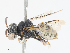  ( - CBG-A13340-D04)  @11 [ ] CreativeCommons - Attribution Share - Alike (2023) CBG Photography Group Centre for Biodiversity Genomics