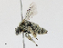  ( - CBG-A13341-C06)  @11 [ ] CreativeCommons - Attribution Share - Alike (2023) CBG Photography Group Centre for Biodiversity Genomics