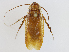  ( - CBG-A13341-D01)  @11 [ ] CreativeCommons - Attribution Share - Alike (2023) CBG Photography Group Centre for Biodiversity Genomics