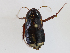  ( - CBG-A13341-D02)  @11 [ ] CreativeCommons - Attribution Share - Alike (2023) CBG Photography Group Centre for Biodiversity Genomics