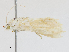  ( - CBG-A13341-E02)  @11 [ ] CreativeCommons - Attribution Share - Alike (2023) CBG Photography Group Centre for Biodiversity Genomics