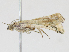  ( - CBG-A13341-E07)  @11 [ ] CreativeCommons - Attribution Share - Alike (2023) CBG Photography Group Centre for Biodiversity Genomics