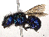  ( - CBG-A13342-D07)  @11 [ ] CreativeCommons - Attribution Share - Alike (2023) CBG Photography Group Centre for Biodiversity Genomics