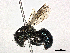  ( - CBG-A13342-E08)  @11 [ ] CreativeCommons - Attribution Share - Alike (2023) CBG Photography Group Centre for Biodiversity Genomics