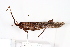  ( - CBG-A13343-C04)  @11 [ ] CreativeCommons - Attribution Share - Alike (2023) CBG Photography Group Centre for Biodiversity Genomics
