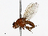  ( - CBG-A13343-E07)  @11 [ ] CreativeCommons - Attribution Share - Alike (2023) CBG Photography Group Centre for Biodiversity Genomics