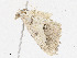  ( - CBG-A14991-E01)  @11 [ ] CreativeCommons - Attribution Share-Alike (2023) CBG Photography Group Centre for Biodiversity Genomics