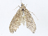  ( - CBG-A14992-A08)  @11 [ ] CreativeCommons - Attribution Share - Alike (2023) CBG Photography Group Centre for Biodiversity Genomics