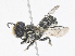  ( - CBG-A14992-G04)  @11 [ ] CreativeCommons - Attribution Share - Alike (2023) CBG Photography Group Centre for Biodiversity Genomics