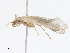  ( - CBG-A16662-B05)  @11 [ ] CreativeCommons - Attribution Share - Alike (2023) CBG Photography Group Centre for Biodiversity Genomics