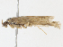  ( - CBG-A16662-B11)  @11 [ ] CreativeCommons - Attribution Share - Alike (2023) CBG Photography Group Centre for Biodiversity Genomics