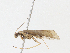  ( - CBG-A16662-B12)  @11 [ ] CreativeCommons - Attribution Share - Alike (2023) CBG Photography Group Centre for Biodiversity Genomics