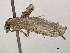  ( - CBG-A16662-C03)  @11 [ ] CreativeCommons - Attribution Share - Alike (2023) CBG Photography Group Centre for Biodiversity Genomics