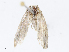  ( - CBG-A16662-D08)  @11 [ ] CreativeCommons - Attribution Share - Alike (2023) CBG Photography Group Centre for Biodiversity Genomics